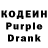 Codein Purple Drank Dashek Boone
