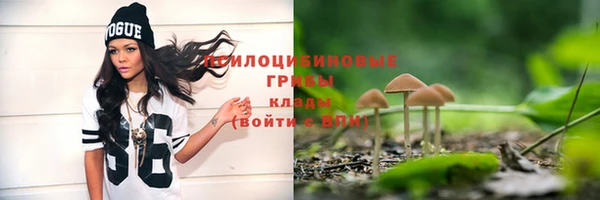спайс Абдулино