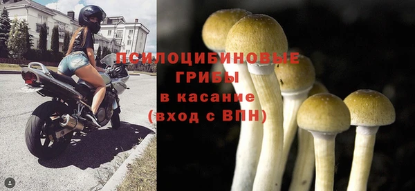молекула духа Абинск