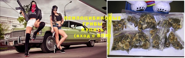 молекула духа Абинск