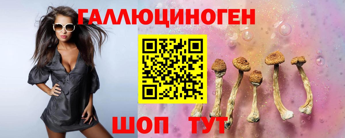 Екатеринбург  Галлюциногенные грибы Magic Shrooms  Вход с VPN 