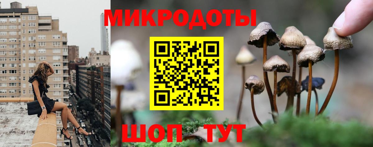 Галлюциногенные грибы GOLDEN TEACHER Екатеринбург